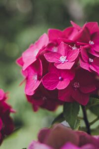 転職初日の挨拶で押さえておくべきポイントは？