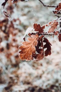indeedの口コミの見方はどのようにすれば良いですか？