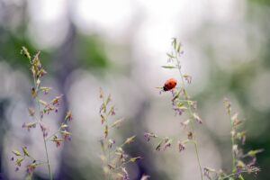 転職時に必要な保険の切り替え手続きはどうする？
