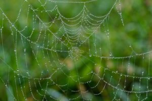 web面接に最適な服装はどのようなものですか？