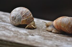転職内定辞退のメールはどのように書けば良いのか？