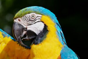 インディードの口コミの見方を徹底解説する方法は？